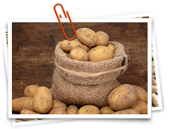 EZG Qualitätsspeisekartoffeln Westsachsen w.V.